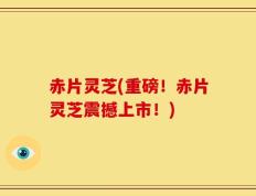 赤片灵芝(重磅！赤片灵芝震撼上市！)