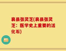 襄县张灵芝(襄县张灵芝：医学史上重要的活化石)