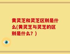黄灵芝和灵芝区别是什么(黄灵芝与灵芝的区别是什么？)