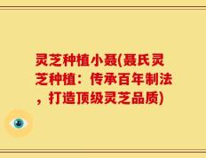 灵芝种植小聂(聂氏灵芝种植：传承百年制法，打造顶级灵芝品质)