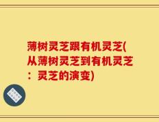 薄树灵芝跟有机灵芝(从薄树灵芝到有机灵芝：灵芝的演变)