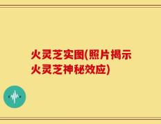 火灵芝实图(照片揭示火灵芝神秘效应)
