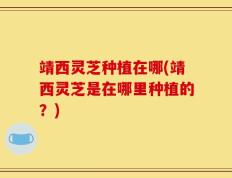 靖西灵芝种植在哪(靖西灵芝是在哪里种植的？)