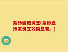 紫砂能泡灵芝(紫砂壶泡煮灵芝效果显著。)