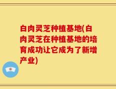 白肉灵芝种植基地(白肉灵芝在种植基地的培育成功让它成为了新增产业)