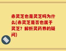 赤灵芝也是灵芝吗为什么(赤灵芝是否也属于灵芝？解析灵药界的疑问)