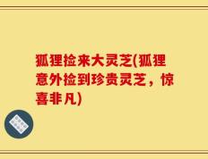 狐狸捡来大灵芝(狐狸意外捡到珍贵灵芝，惊喜非凡)