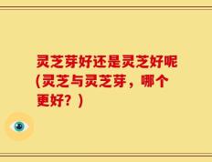 灵芝芽好还是灵芝好呢(灵芝与灵芝芽，哪个更好？)