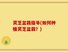 灵芝盆栽指导(如何种植灵芝盆栽？)