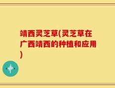靖西灵芝草(灵芝草在广西靖西的种植和应用)