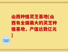 山西种植灵芝基地(山西有全国最大的灵芝种植基地，产值达数亿元)