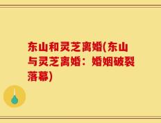 东山和灵芝离婚(东山与灵芝离婚：婚姻破裂落幕)