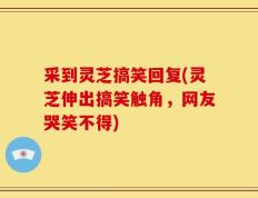 采到灵芝搞笑回复(灵芝伸出搞笑触角，网友哭笑不得)