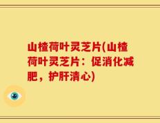 山楂荷叶灵芝片(山楂荷叶灵芝片：促消化减肥，护肝清心)