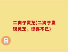 二狗子灵芝(二狗子发现灵芝，惊喜不已)