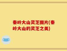 秦岭大山灵芝图片(秦岭大山的灵芝之美)
