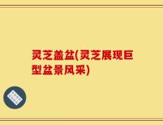 灵芝盖盆(灵芝展现巨型盆景风采)