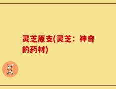 灵芝原支(灵芝：神奇的药材)