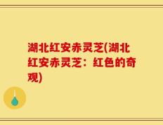 湖北红安赤灵芝(湖北红安赤灵芝：红色的奇观)
