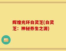 辉煌光环白灵芝(白灵芝：神秘养生之源)