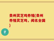 贵州灵芝鸡养殖(贵州养殖灵芝鸡，闻名全国)