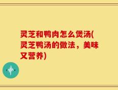 灵芝和鸭肉怎么煲汤(灵芝鸭汤的做法，美味又营养)