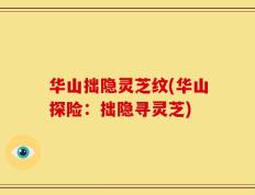 华山拙隐灵芝纹(华山探险：拙隐寻灵芝)