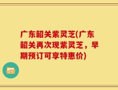 广东韶关紫灵芝(广东韶关再次现紫灵芝，早期预订可享特惠价)
