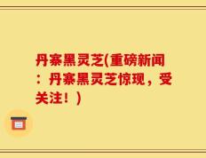 丹寨黑灵芝(重磅新闻：丹寨黑灵芝惊现，受关注！)
