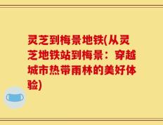 灵芝到梅景地铁(从灵芝地铁站到梅景：穿越城市热带雨林的美好体验)