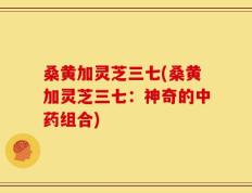 桑黄加灵芝三七(桑黄加灵芝三七：神奇的中药组合)