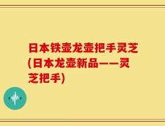 日本铁壶龙壶把手灵芝(日本龙壶新品——灵芝把手)