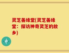 灵芝善缘堂(灵芝善缘堂：探访神奇灵芝的故乡)