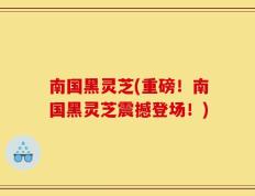 南国黑灵芝(重磅！南国黑灵芝震撼登场！)