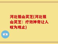 河北祖山灵芝(河北祖山灵芝：疗效神奇让人叹为观止)