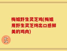 梅姐野生灵芝鸡(梅姐用野生灵芝炖出口感鲜美的鸡肉)
