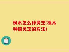 枫木怎么种灵芝(枫木种植灵芝的方法)