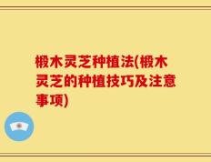 椴木灵芝种植法(椴木灵芝的种植技巧及注意事项)