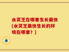 水灵芝在哪里生长最快(水灵芝最快生长的环境在哪里？)