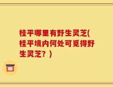 桂平哪里有野生灵芝(桂平境内何处可觅得野生灵芝？)