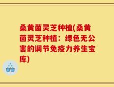 桑黄菌灵芝种植(桑黄菌灵芝种植：绿色无公害的调节免疫力养生宝库)