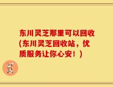 东川灵芝那里可以回收(东川灵芝回收站，优质服务让你心安！)