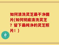 如何清洗灵芝最干净图片(如何彻底清洗灵芝？留下最纯净的灵芝照片！)