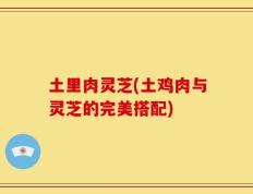 土里肉灵芝(土鸡肉与灵芝的完美搭配)