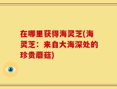 在哪里获得海灵芝(海灵芝：来自大海深处的珍贵蘑菇)