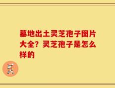 墓地出土灵芝孢子图片大全？灵芝孢子是怎么样的