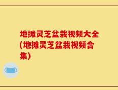 地摊灵芝盆栽视频大全(地摊灵芝盆栽视频合集)