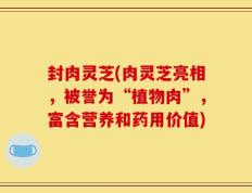 封肉灵芝(肉灵芝亮相，被誉为“植物肉”，富含营养和药用价值)