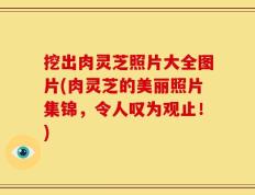 挖出肉灵芝照片大全图片(肉灵芝的美丽照片集锦，令人叹为观止！)