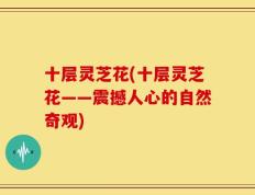 十层灵芝花(十层灵芝花——震撼人心的自然奇观)